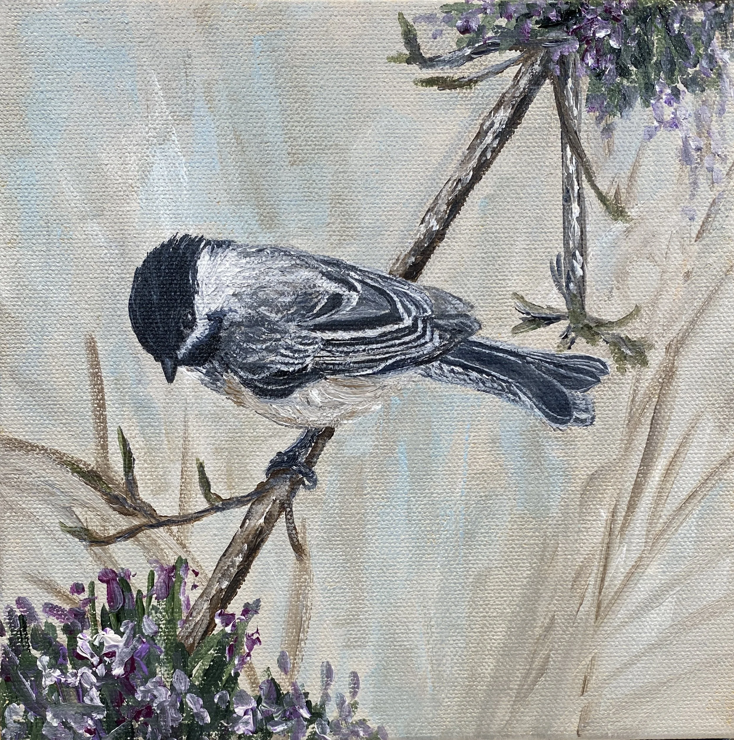 Small Wildlife / Floral Paintings — All Paintings — Diane Dowsett